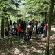 slika 098